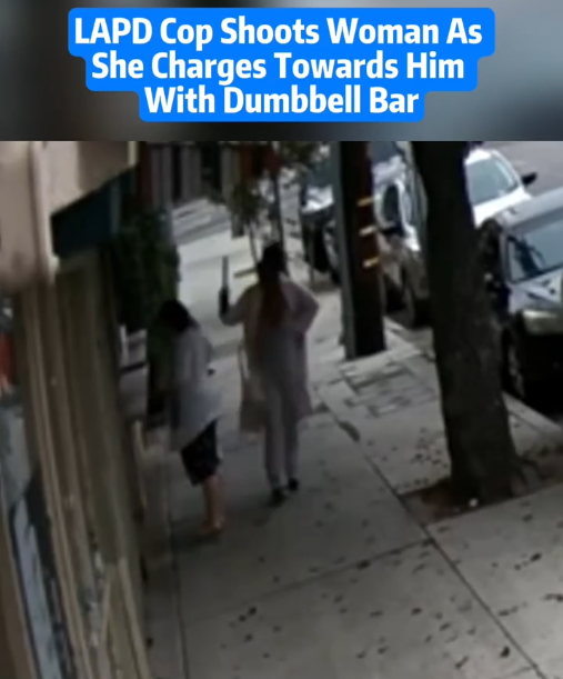 πππ«π π:RAMPAGE ON THE STREETS OF LOS ANGELES: WHEN A DUMBBELL BAR TURNED INTO A DEADLY WEAPON AND LAPD’S SPLIT-SECOND SHOT
